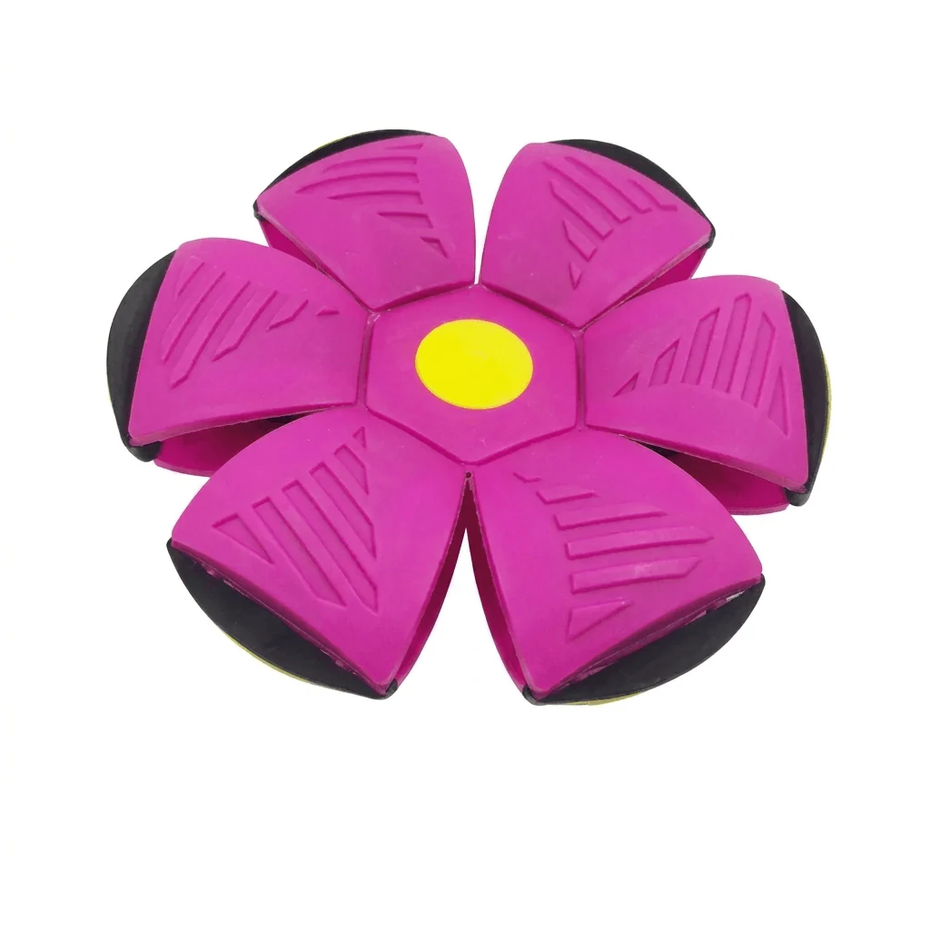 MorphoFly - Image 5